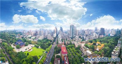 专业管理 打造高品质 专业管理 打造高品质